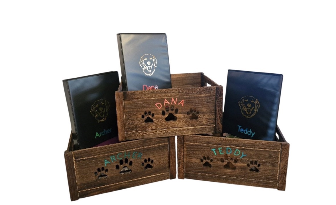 Golden Retriever puppy