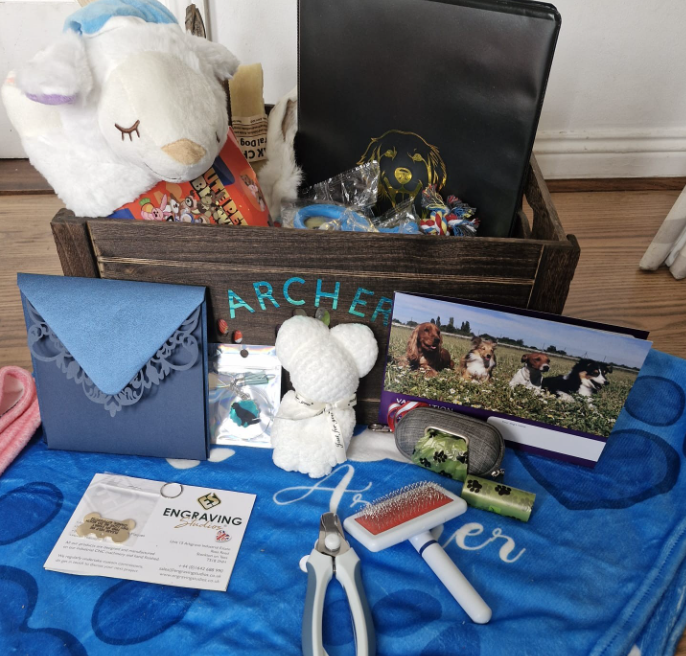 Golden Retriever puppy