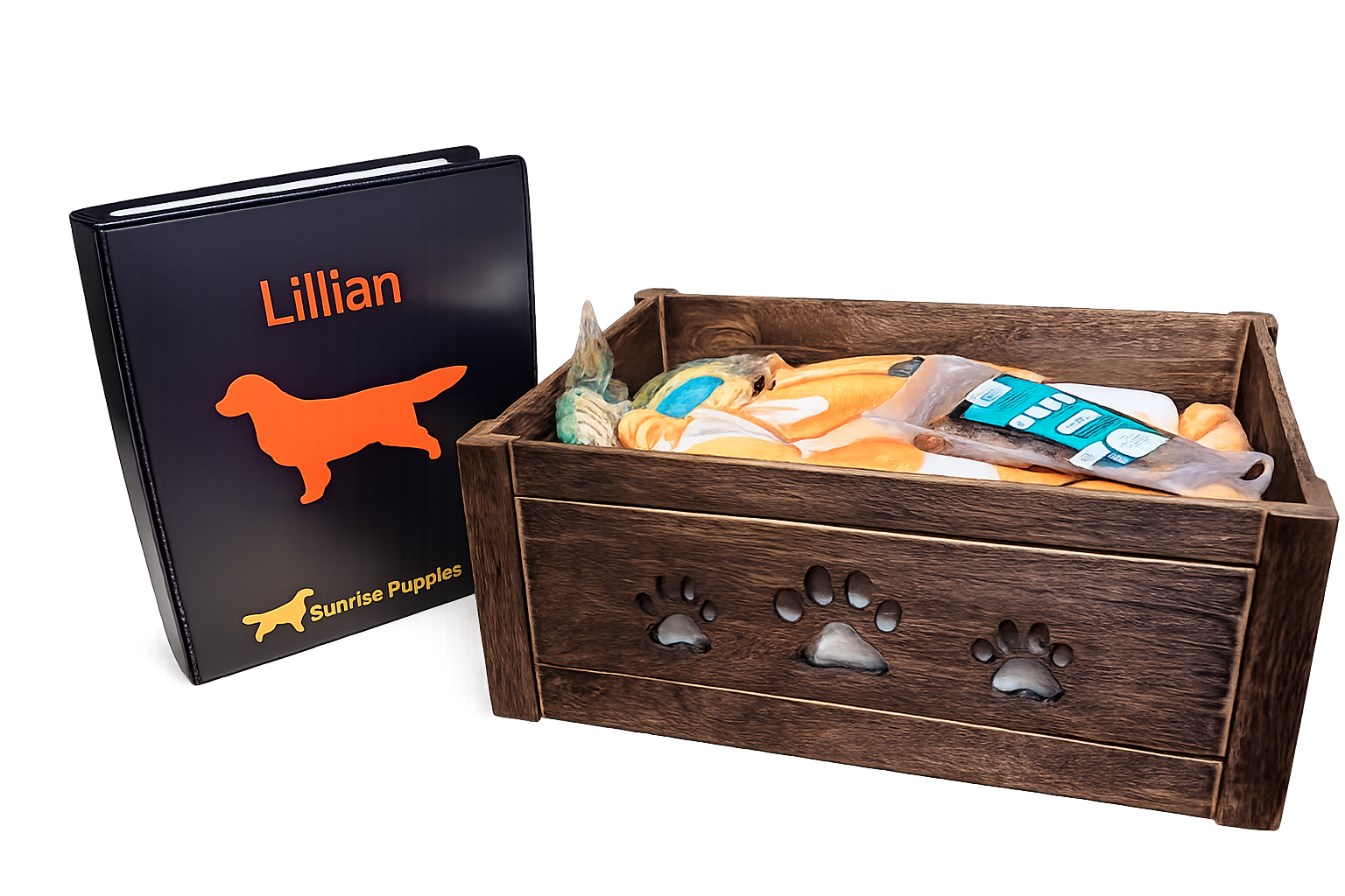 Golden Retriever puppy