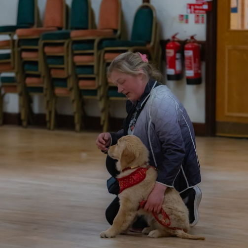 Premium puppy training and confidence building